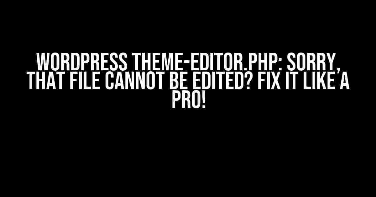 WordPress theme-editor.php: Sorry, That File Cannot be Edited? Fix it Like a Pro!